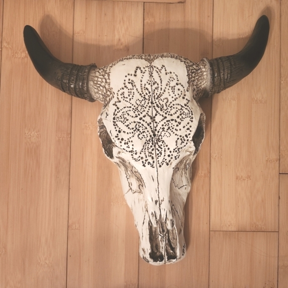 Bullhead skull decor - Picture 1 of 5